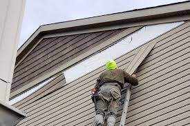 Professional Siding in Burlington, ND